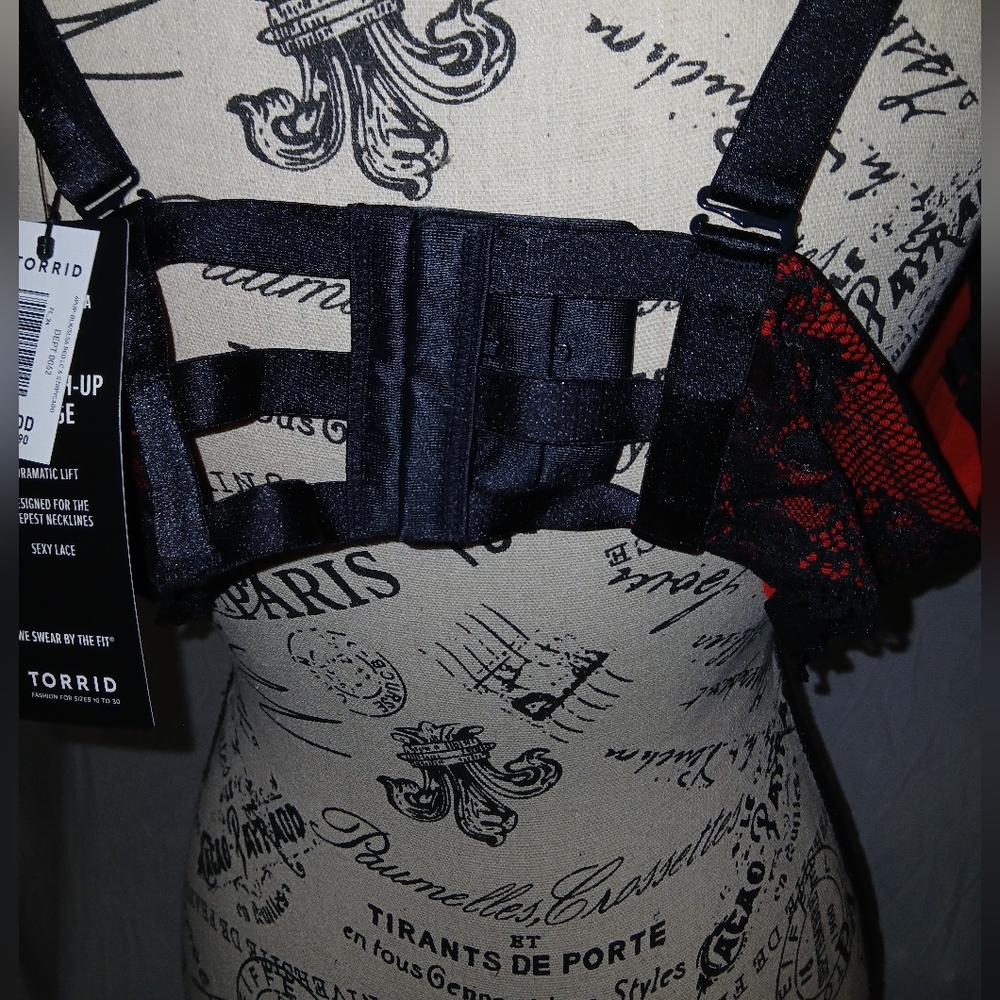 Bra - Picture 4 of 7